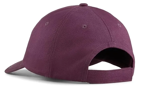 PUMA Gorra Unisex Essentials No.1, Gorra de béisbol Unisex para Adultos