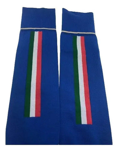 Calcetas Puma Figc Italia Separate 74884701 Oiginal Azul Lisa 25-27